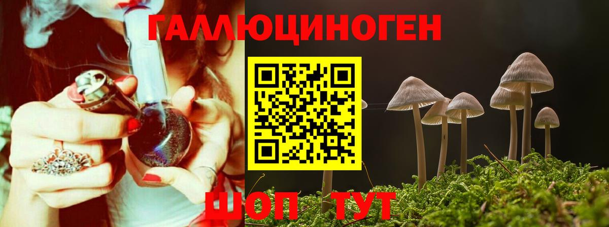Галлюциногенные грибы ЛСД  Галлюциногенные грибы Psilocybe  Хабаровск  Вход с VPN 