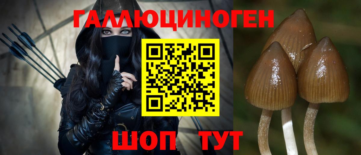 Псилоцибиновые грибы мухоморы Хабаровск